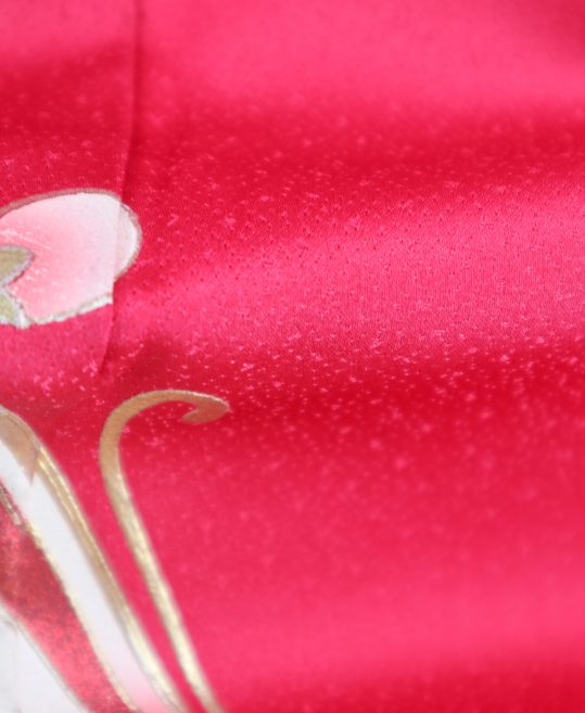 参列振袖  [ロマンチックレトロ][古典]濃ピンクに蝶とバラ[身長163.5cmまで]No.423